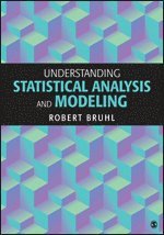 bokomslag Understanding Statistical Analysis and Modeling