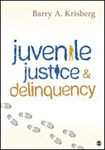 Barry A Krisberg - Krisberg, B: Juvenile Justice and Delinquency, Häftad