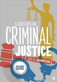 bokomslag Careers in Criminal Justice