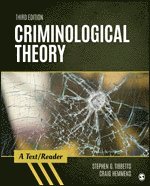 bokomslag Criminological Theory