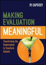 bokomslag Making Evaluation Meaningful