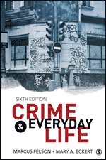 bokomslag Crime and Everyday Life