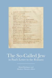 bokomslag The So-Called Jew in Pauls Letter to the Romans