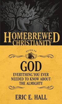 bokomslag The Homebrewed Christianity Guide to God