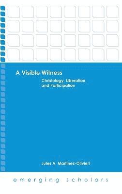 bokomslag Visible Witness