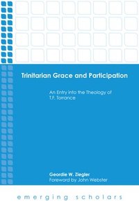 bokomslag Trinitarian Grace and Participation