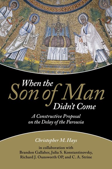 Christopher M. Hays - When the Son of Man Didn't Come, Häftad