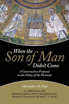 Christopher M. Hays, Christopher M Hays - When the Son of Man Didn't Come, Häftad