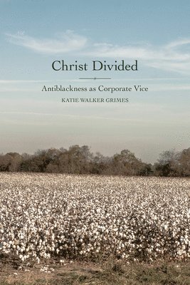 Christ Divided 1