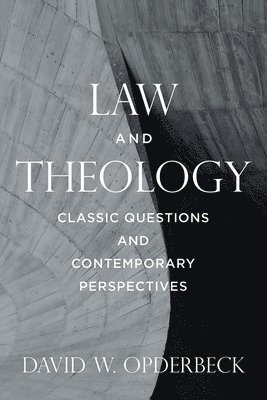 David W Opderbeck, David W. Opderbeck - Law and Theology, Häftad