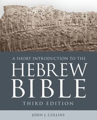 bokomslag A Short Introduction to the Hebrew Bible
