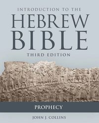 bokomslag Introduction to the Hebrew Bible