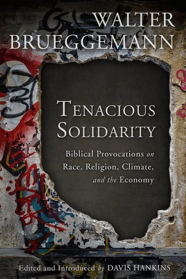 Walter Brueggemann, Davis Hankins - Tenacious Solidarity, Häftad