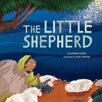 bokomslag The Little Shepherd