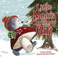 bokomslag Little Mole's Little Gift