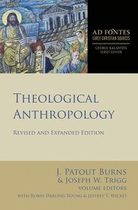 bokomslag Theological Anthropology