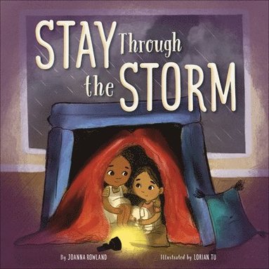 bokomslag Stay Through the Storm