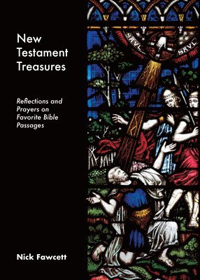 bokomslag New Testament Treasures