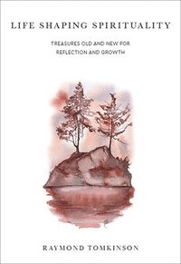 bokomslag Life Shaping Spirituality