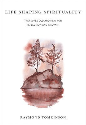 bokomslag Life Shaping Spirituality