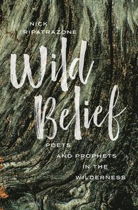 bokomslag Wild Belief