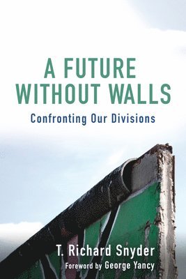 bokomslag Future without Walls