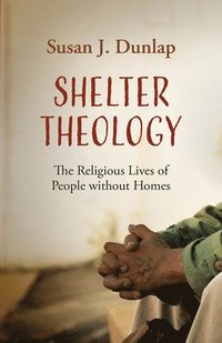 bokomslag Shelter Theology