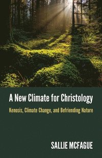 bokomslag A New Climate for Christology