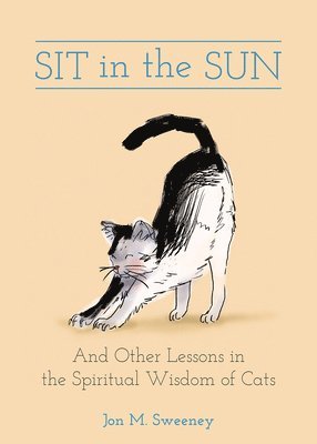 Sit in the Sun 1