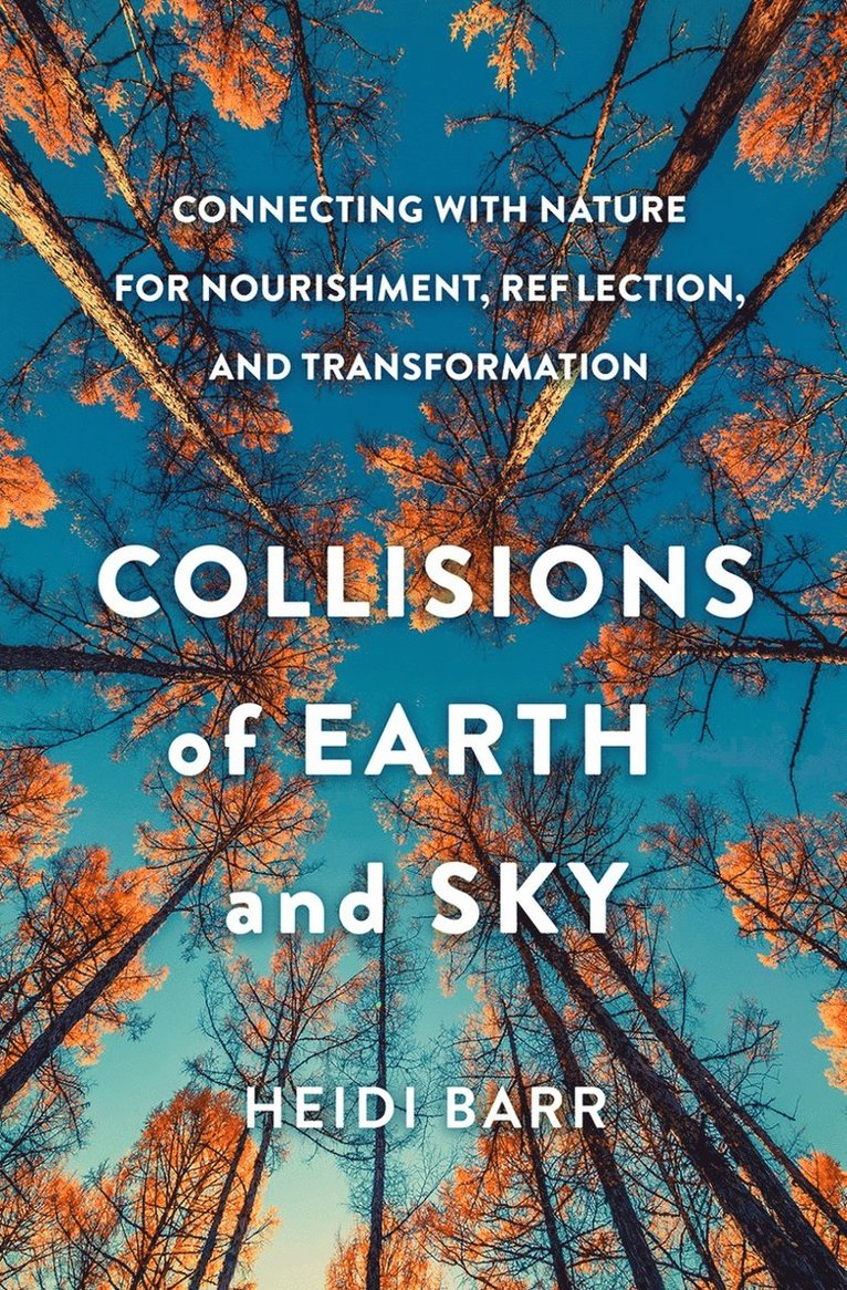 Heidi Barr - Collisions of Earth and Sky, Inbunden