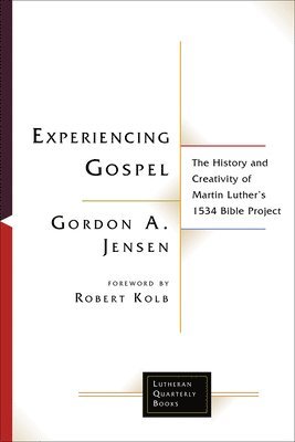 bokomslag Experiencing Gospel