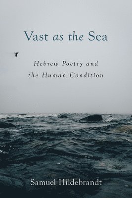 Vast as the Sea 1