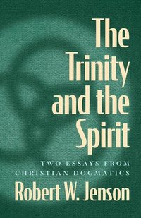 bokomslag The Trinity and the Spirit