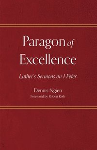 bokomslag Paragon of Excellence