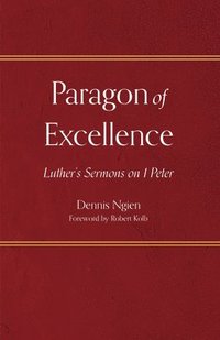 bokomslag Paragon of Excellence