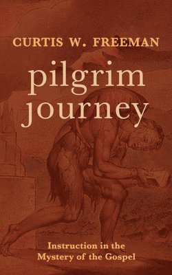 bokomslag Pilgrim Journey