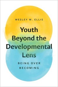 bokomslag Youth Beyond the Developmental Lens