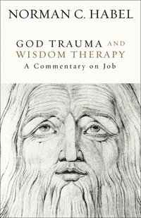 bokomslag God Trauma and Wisdom Therapy