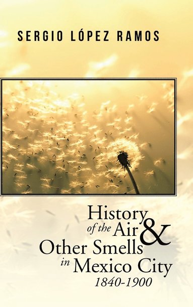 bokomslag History of the Air and Other Smells in Mexico City 1840-1900