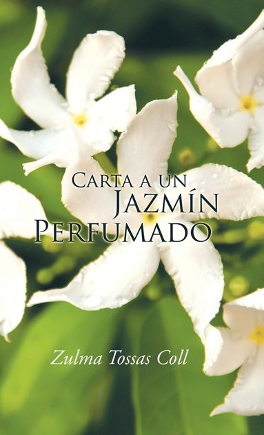 bokomslag Carta a un jazmn perfumado