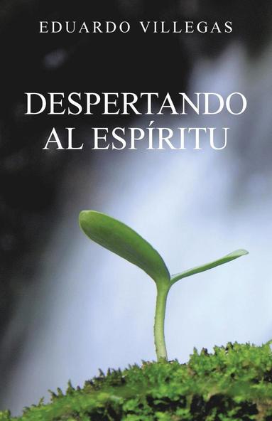 bokomslag Despertando al espíritu