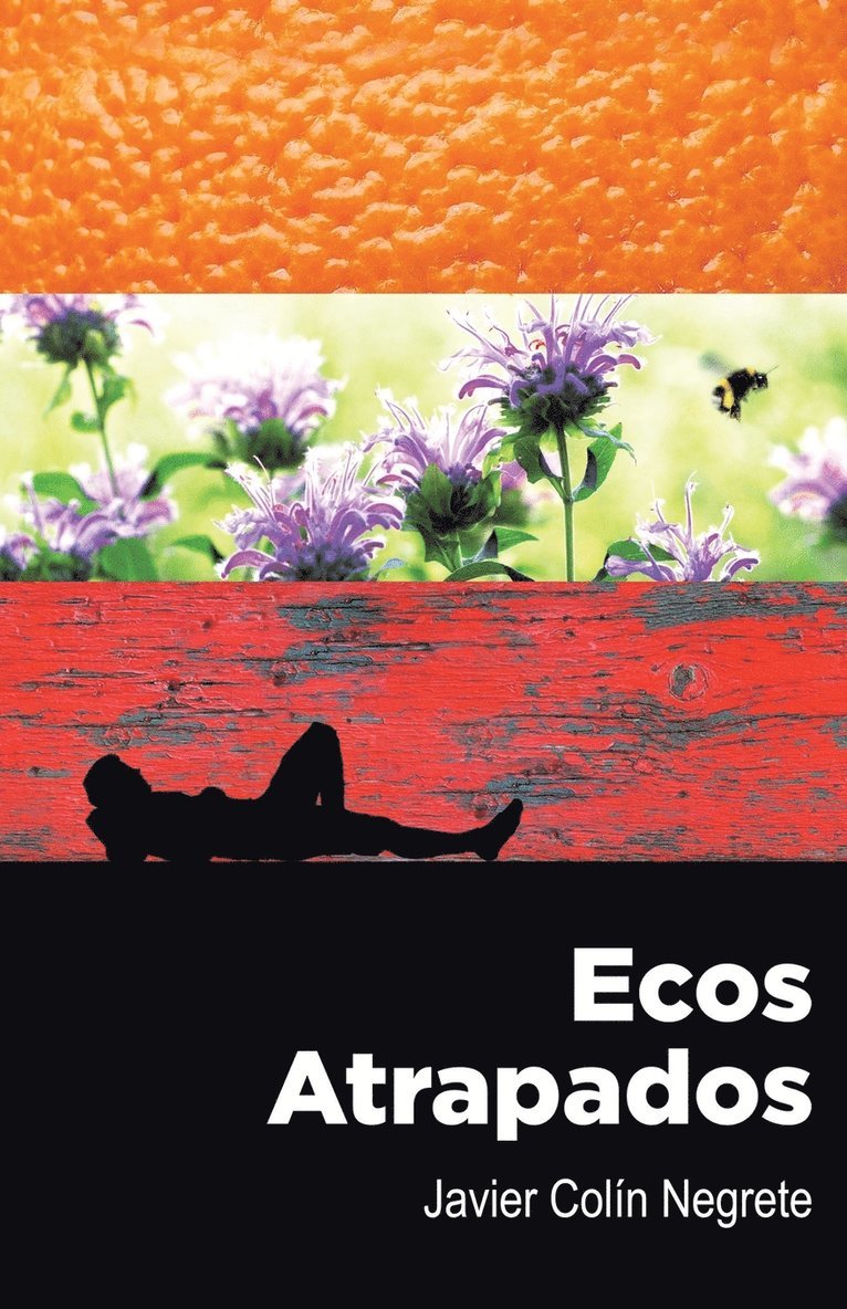 Ecos atrapados 1