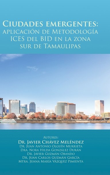 bokomslag Ciudades emergentes