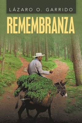 bokomslag Remembranza