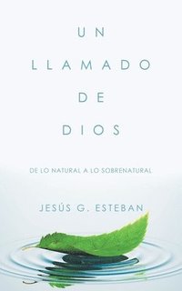 bokomslag Un Llamado De Dios