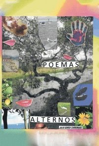 bokomslag Poemas Alternos