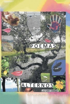 Poemas Alternos 1