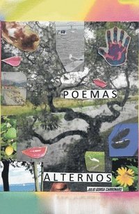 bokomslag Poemas Alternos