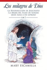 bokomslag Los Milagros De Dios