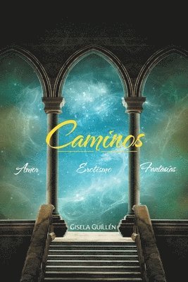 bokomslag Caminos